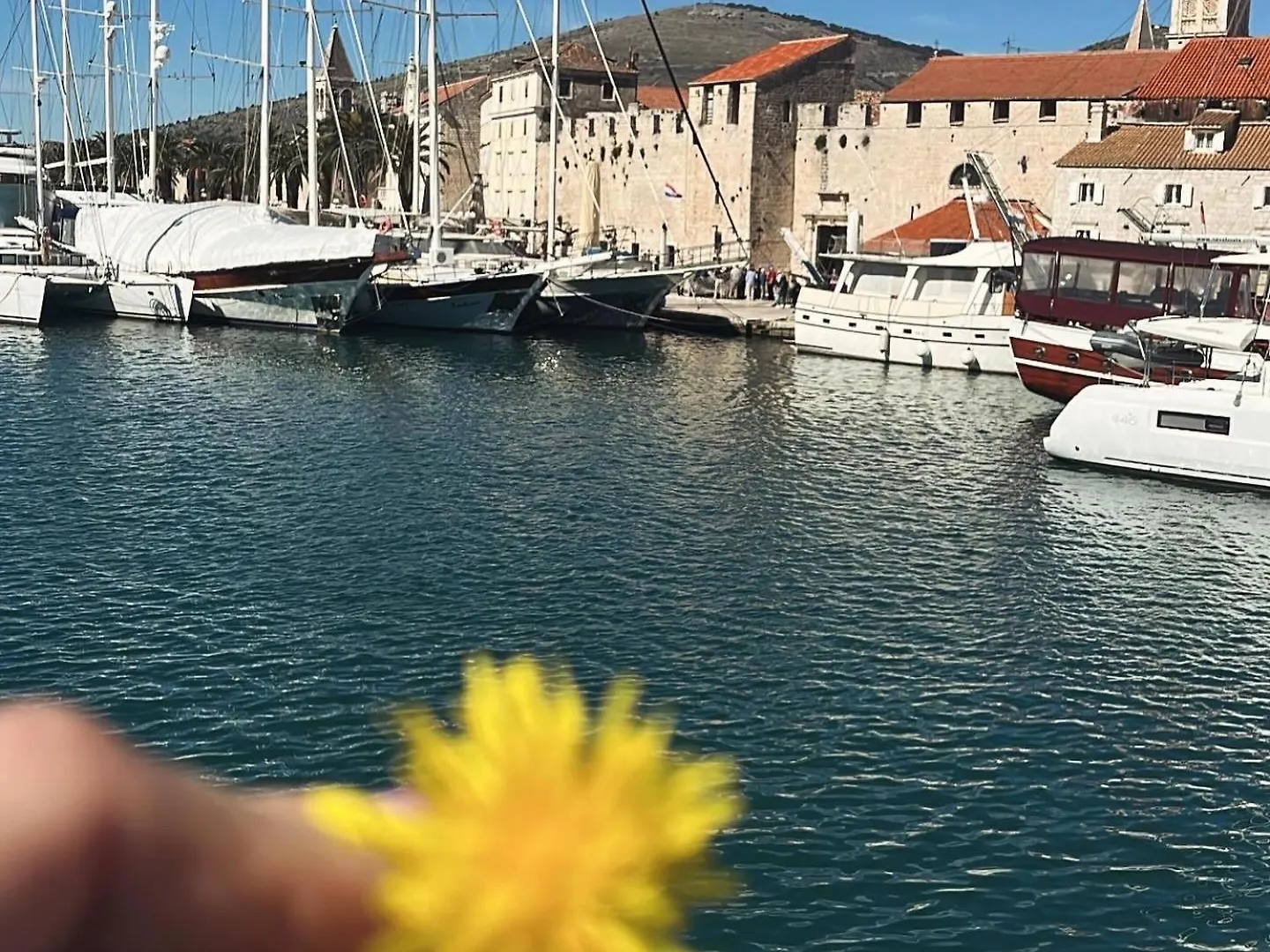 Apartments Villa Mirella 20 M From The Sea - Free Parking Trogir 0*,